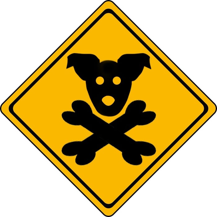 How to Tell If a Dog Toy Is Toxic or Safe | Preventive Vet
